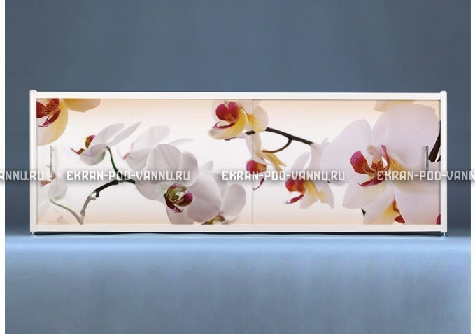 Раздвижной ФОТО экран - Orchid – купить по цене 8500 руб. в интернет-магазине в городе Оренбург картинка 1
