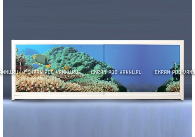 Экран на роликах EUROPLEX Коралловые рифы – купить по цене 12400 руб. в интернет-магазине в городе Оренбург картинка 1